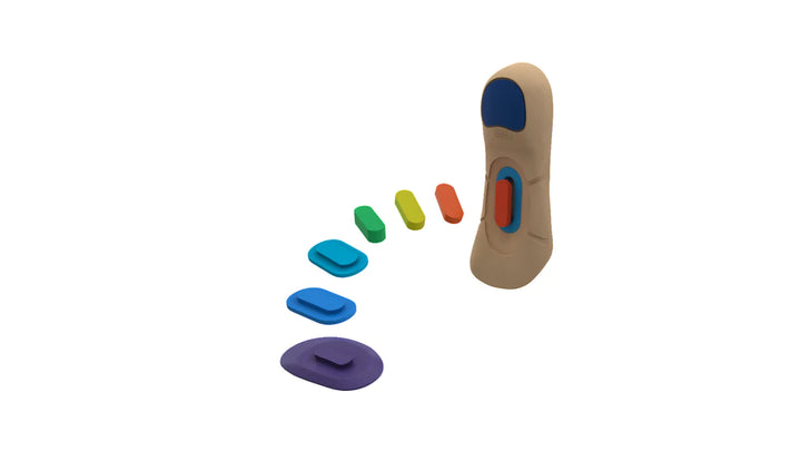 Active 3/4 Length (7 Step Version) – Barefoot Science Australia